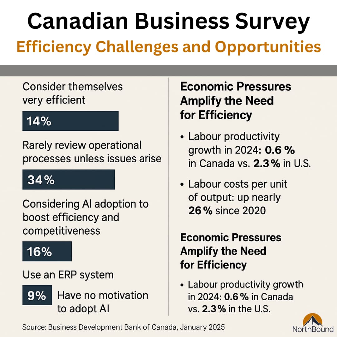 Why Canadian Businesses Must Embrace AI Now