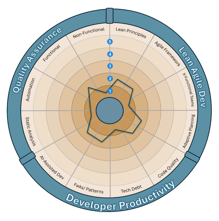 Radar chart rating quality assurance, lean agile dev and developer productivity practices